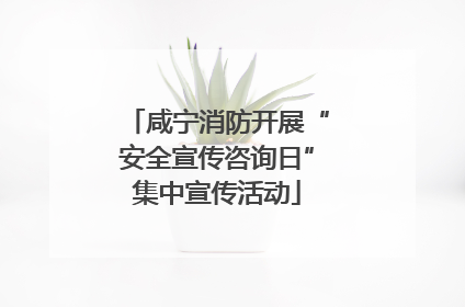 咸宁消防开展“安全宣传咨询日”集中宣传活动