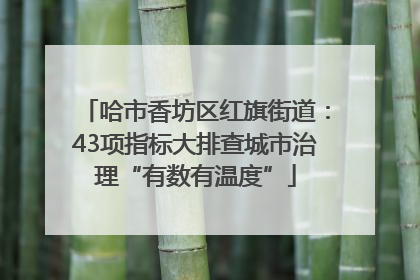 哈市香坊区红旗街道：43项指标大排查城市治理“有数有温度”