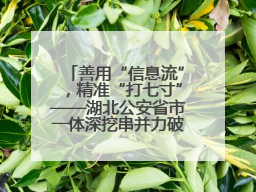 善用“信息流”，精准“打七寸”——湖北公安省市一体深挖串并力破民生案