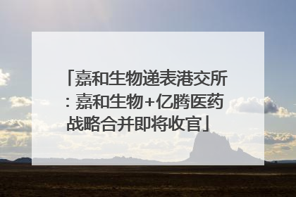 嘉和生物递表港交所：嘉和生物+亿腾医药战略合并即将收官