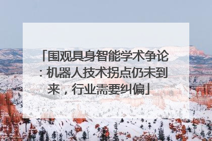 围观具身智能学术争论：机器人技术拐点仍未到来，行业需要纠偏