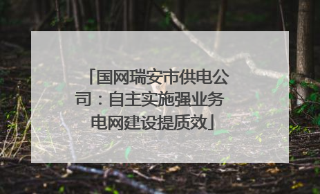 国网瑞安市供电公司：自主实施强业务 电网建设提质效