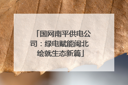 国网南平供电公司：绿电赋能闽北 绘就生态新篇