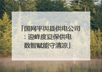 国网平舆县供电公司：迎峰度夏保供电  数智赋能守清凉