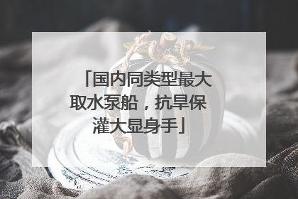 国内同类型最大取水泵船，抗旱保灌大显身手