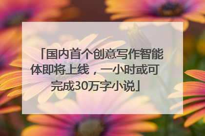 国内首个创意写作智能体即将上线，一小时或可完成30万字小说
