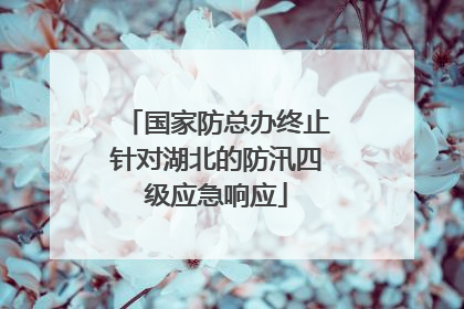 国家防总办终止针对湖北的防汛四级应急响应