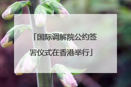 国际调解院公约签署仪式在香港举行