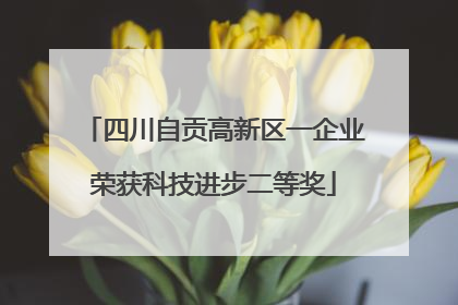 四川自贡高新区一企业荣获科技进步二等奖