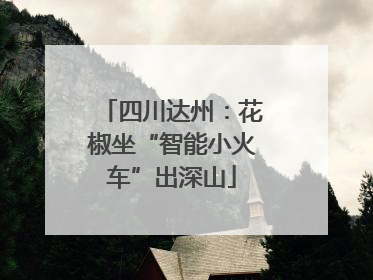 四川达州：花椒坐“智能小火车”出深山