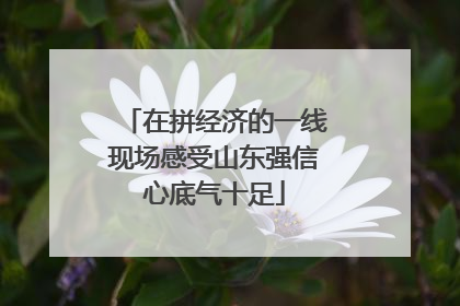 在拼经济的一线现场感受山东强信心底气十足
