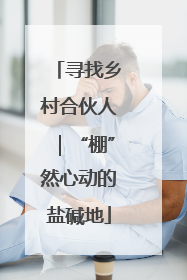 寻找乡村合伙人｜“棚”然心动的盐碱地