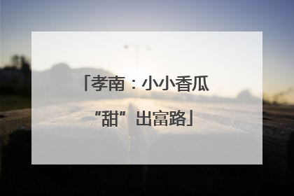 孝南：小小香瓜 “甜”出富路