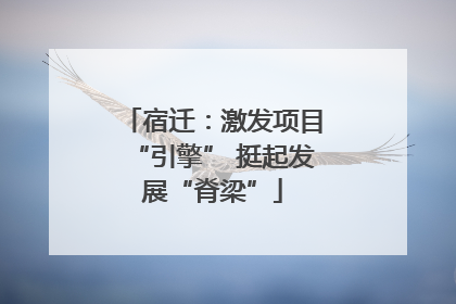 宿迁：激发项目“引擎” 挺起发展“脊梁”