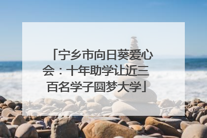 宁乡市向日葵爱心会：十年助学让近三百名学子圆梦大学