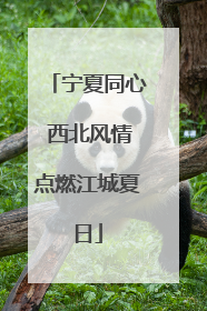 宁夏同心 西北风情点燃江城夏日