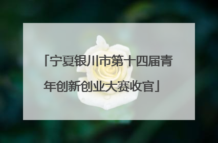 宁夏银川市第十四届青年创新创业大赛收官