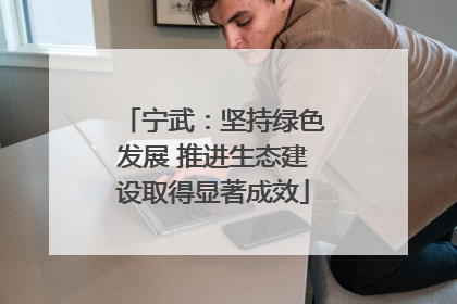 宁武：坚持绿色发展 推进生态建设取得显著成效
