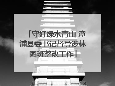 守好绿水青山 漳浦县委书记督导涉林图斑整改工作