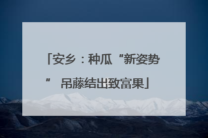 安乡：种瓜“新姿势” 吊藤结出致富果