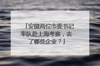 安徽两位市委书记率队赴上海考察，去了哪些企业？