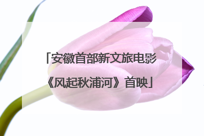 安徽首部新文旅电影《风起秋浦河》首映