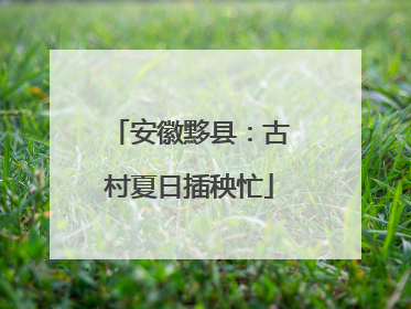 安徽黟县：古村夏日插秧忙