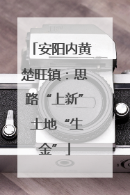 安阳内黄楚旺镇：思路“上新” 土地“生金”