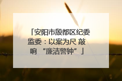 安阳市殷都区纪委监委：以案为尺 敲响 “廉洁警钟”