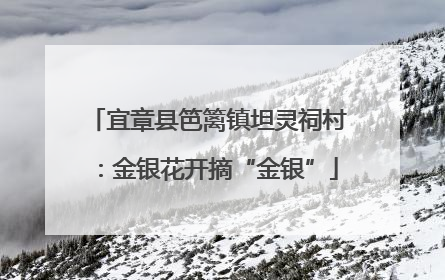 宜章县笆篱镇坦灵祠村：金银花开摘“金银”