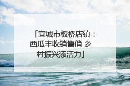 宜城市板桥店镇：西瓜丰收销售俏 乡村振兴添活力
