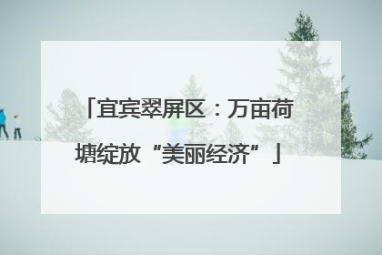 宜宾翠屏区：万亩荷塘绽放“美丽经济”
