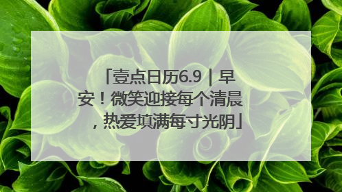 壹点日历6.9｜早安！微笑迎接每个清晨，热爱填满每寸光阴