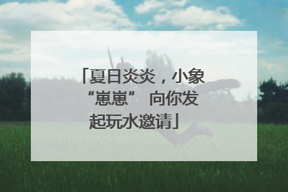 夏日炎炎，小象“崽崽” 向你发起玩水邀请