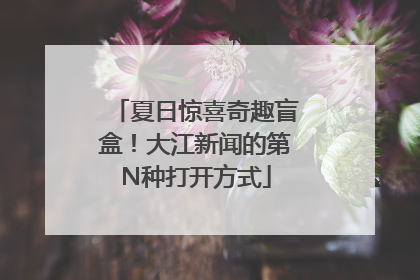 夏日惊喜奇趣盲盒！大江新闻的第N种打开方式