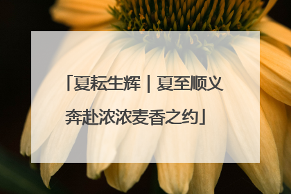 夏耘生辉｜夏至顺义奔赴浓浓麦香之约