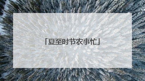夏至时节农事忙
