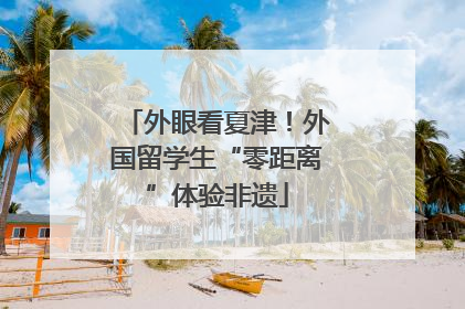外眼看夏津！外国留学生“零距离”体验非遗