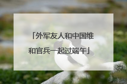 外军友人和中国维和官兵一起过端午
