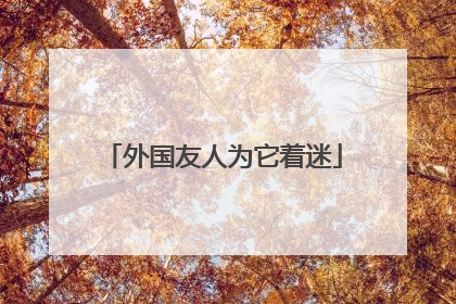 外国友人为它着迷