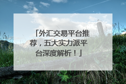 外汇交易平台推荐，五大实力派平台深度解析！