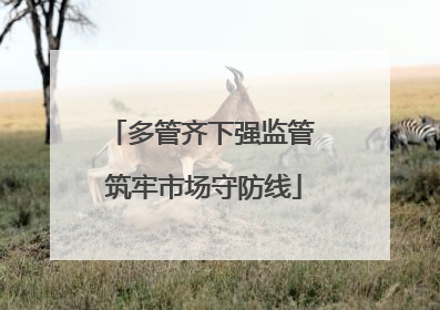 多管齐下强监管 筑牢市场守防线