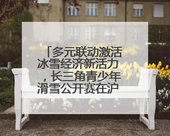 多元联动激活冰雪经济新活力，长三角青少年滑雪公开赛在沪落幕