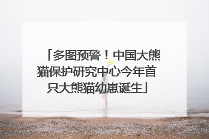多图预警！中国大熊猫保护研究中心今年首只大熊猫幼崽诞生