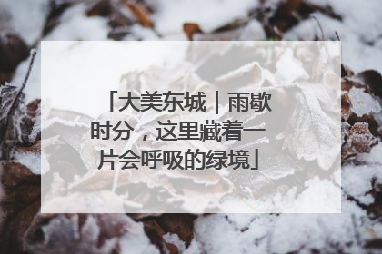 大美东城｜雨歇时分，这里藏着一片会呼吸的绿境