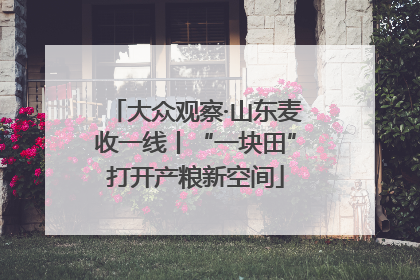 大众观察·山东麦收一线丨“一块田”打开产粮新空间