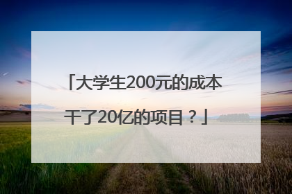 大学生200元的成本干了20亿的项目？