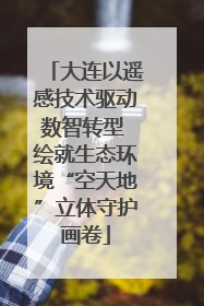 大连以遥感技术驱动数智转型 绘就生态环境“空天地”立体守护画卷