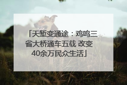 天堑变通途：鸡鸣三省大桥通车五载 改变40余万民众生活