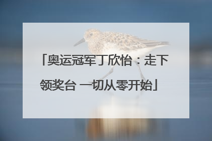 奥运冠军丁欣怡：走下领奖台 一切从零开始